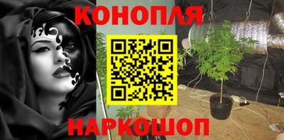 тгк Железногорск