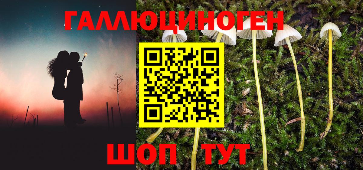 Туапсе  Галлюциногенные грибы мухоморы  Вход с VPN 
