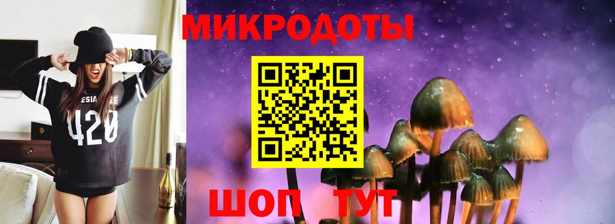 Псилоцибиновые грибы GOLDEN TEACHER Туапсе